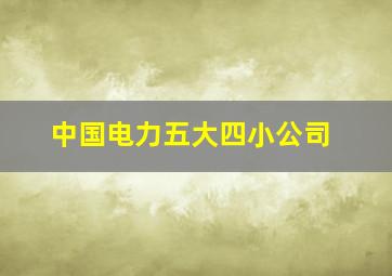 中国电力五大四小公司