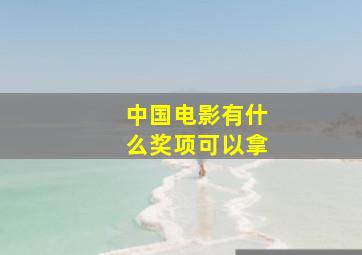 中国电影有什么奖项可以拿