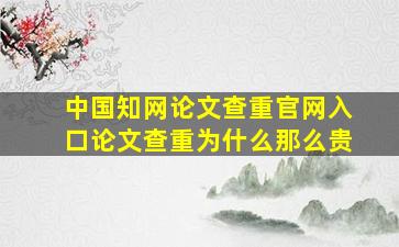 中国知网论文查重官网入口论文查重为什么那么贵