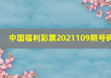 中国福利彩票2021109期号码