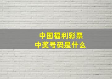 中国福利彩票中奖号码是什么