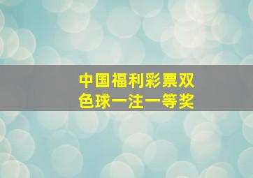 中国福利彩票双色球一注一等奖