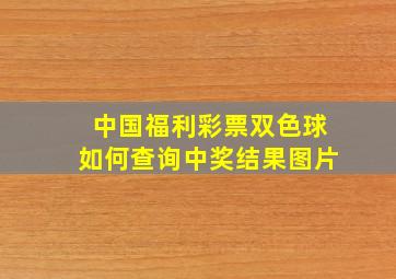 中国福利彩票双色球如何查询中奖结果图片