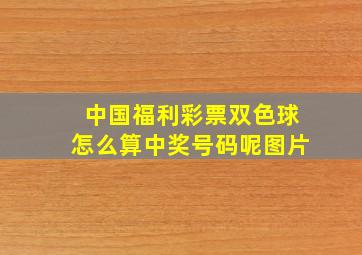 中国福利彩票双色球怎么算中奖号码呢图片