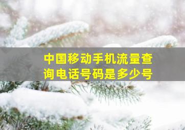 中国移动手机流量查询电话号码是多少号