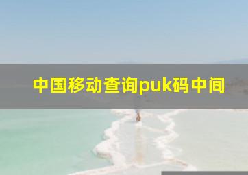 中国移动查询puk码中间