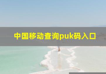 中国移动查询puk码入口