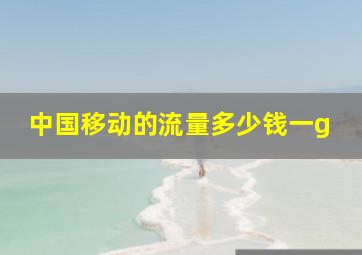 中国移动的流量多少钱一g