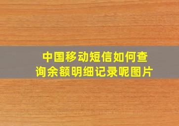 中国移动短信如何查询余额明细记录呢图片