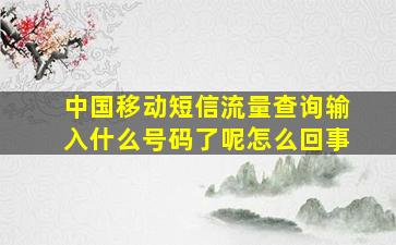 中国移动短信流量查询输入什么号码了呢怎么回事