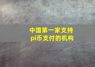 中国第一家支持pi币支付的机构