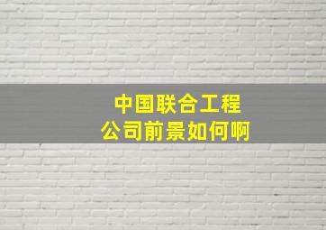 中国联合工程公司前景如何啊