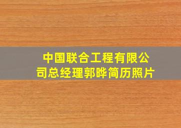 中国联合工程有限公司总经理郭晔简历照片