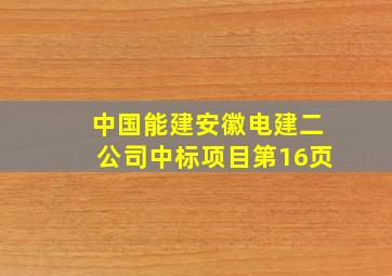 中国能建安徽电建二公司中标项目第16页