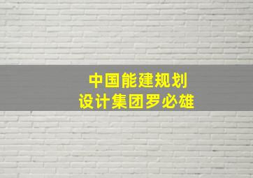 中国能建规划设计集团罗必雄