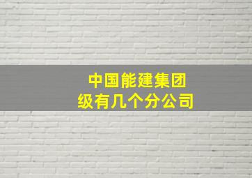 中国能建集团级有几个分公司