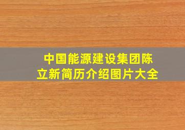 中国能源建设集团陈立新简历介绍图片大全