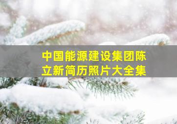 中国能源建设集团陈立新简历照片大全集