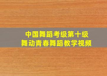 中国舞蹈考级第十级舞动青春舞蹈教学视频