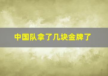 中国队拿了几块金牌了