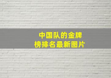 中国队的金牌榜排名最新图片