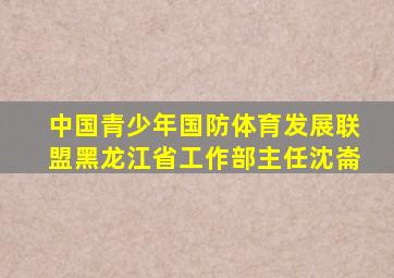 中国青少年国防体育发展联盟黑龙江省工作部主任沈崙