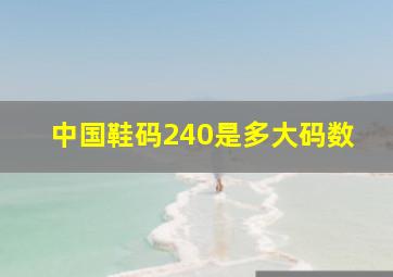 中国鞋码240是多大码数