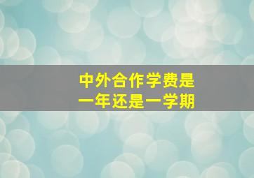 中外合作学费是一年还是一学期