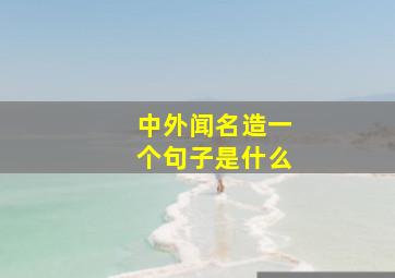 中外闻名造一个句子是什么