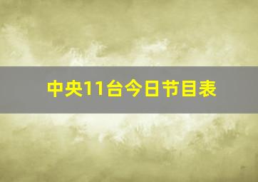 中央11台今日节目表