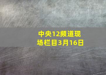 中央12频道现场栏目3月16日