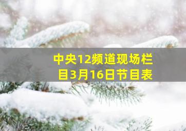 中央12频道现场栏目3月16日节目表