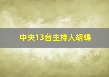 中央13台主持人胡蝶