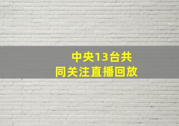 中央13台共同关注直播回放