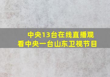 中央13台在线直播观看中央一台山东卫视节目