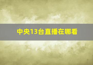 中央13台直播在哪看