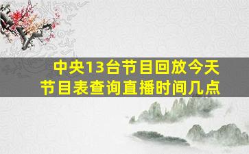 中央13台节目回放今天节目表查询直播时间几点