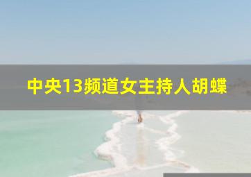 中央13频道女主持人胡蝶