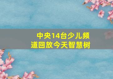 中央14台少儿频道回放今天智慧树