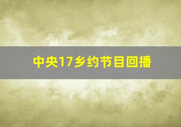 中央17乡约节目回播