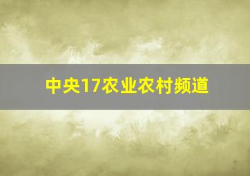 中央17农业农村频道