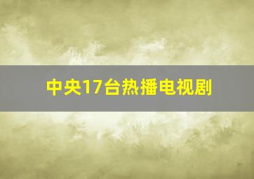 中央17台热播电视剧