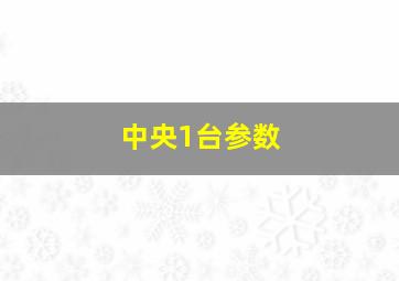 中央1台参数