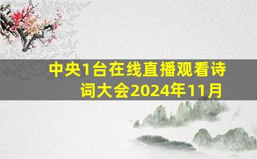 中央1台在线直播观看诗词大会2024年11月