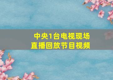 中央1台电视现场直播回放节目视频