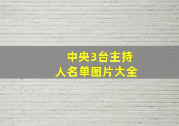 中央3台主持人名单图片大全