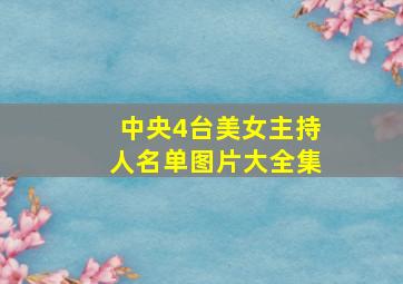 中央4台美女主持人名单图片大全集