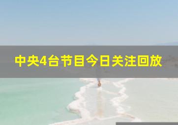 中央4台节目今日关注回放