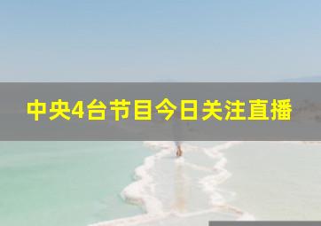 中央4台节目今日关注直播