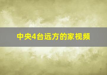 中央4台远方的家视频